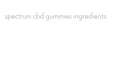 spectrum cbd gummies ingredients