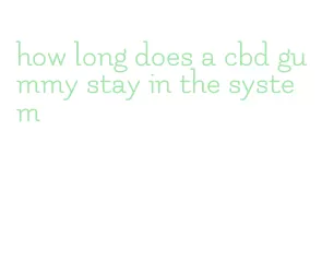 how long does a cbd gummy stay in the system